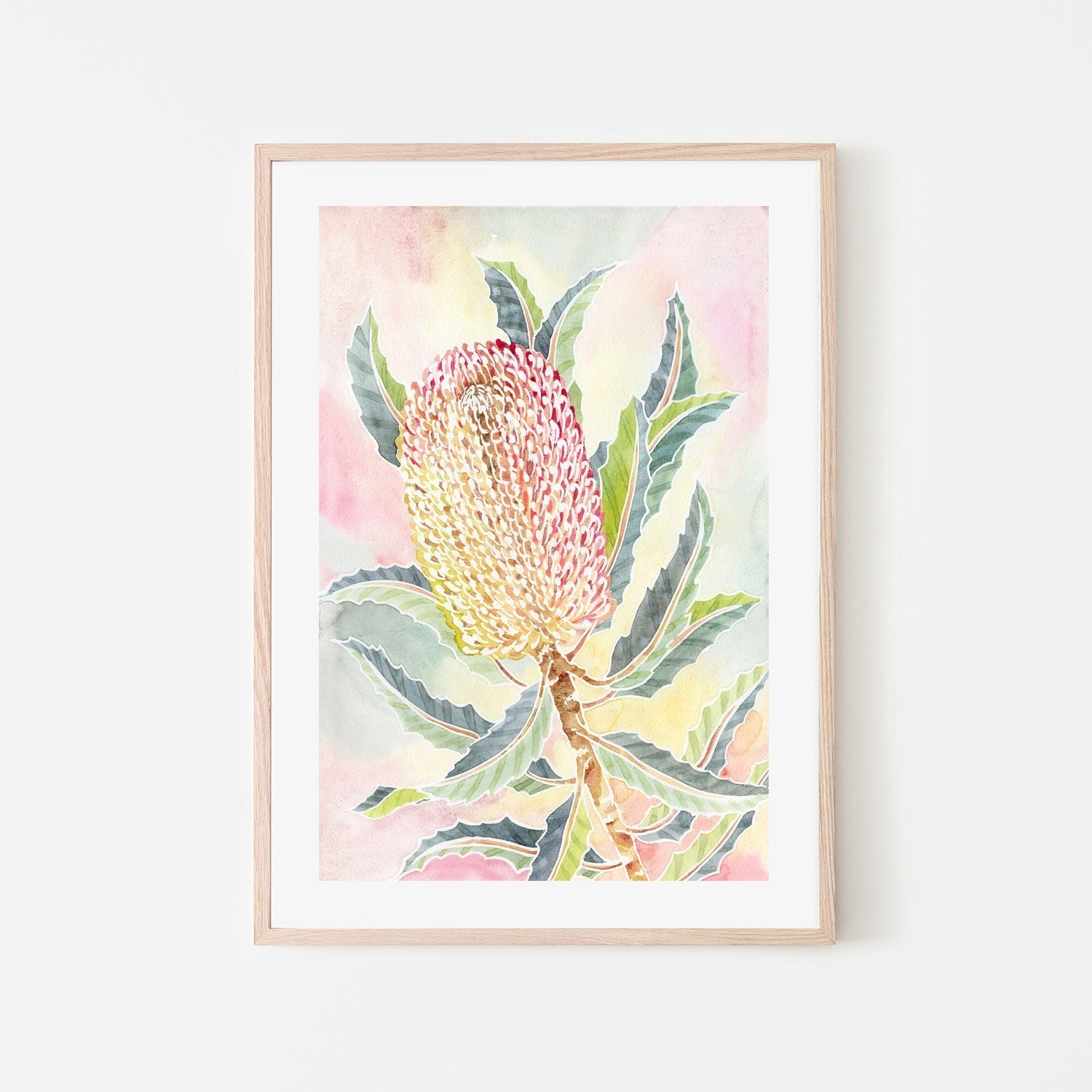 wall-art-print-canvas-poster-framed-Pastel Banksia , By Jessie Mitchelson-GIOIA-WALL-ART