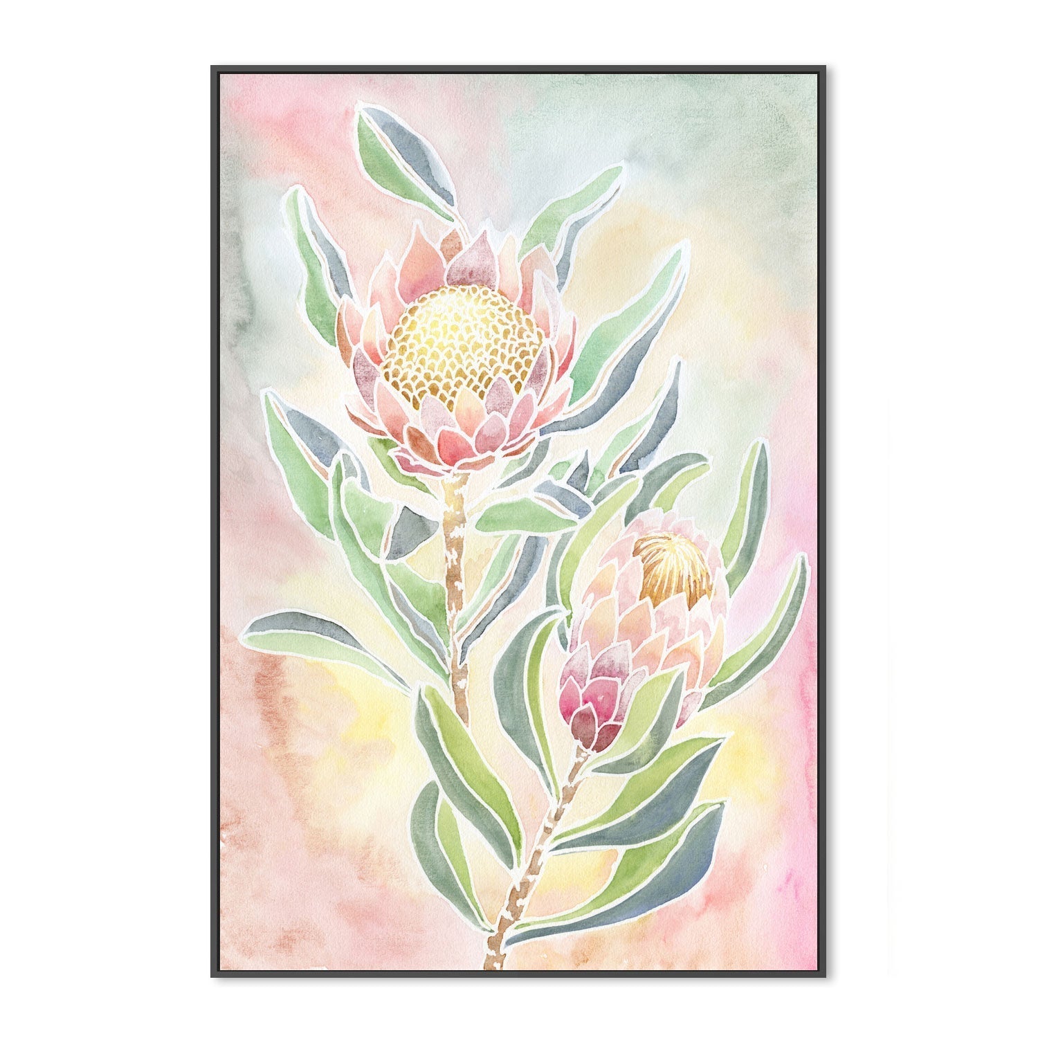 wall-art-print-canvas-poster-framed-Pastel Proteas , By Jessie Mitchelson-GIOIA-WALL-ART