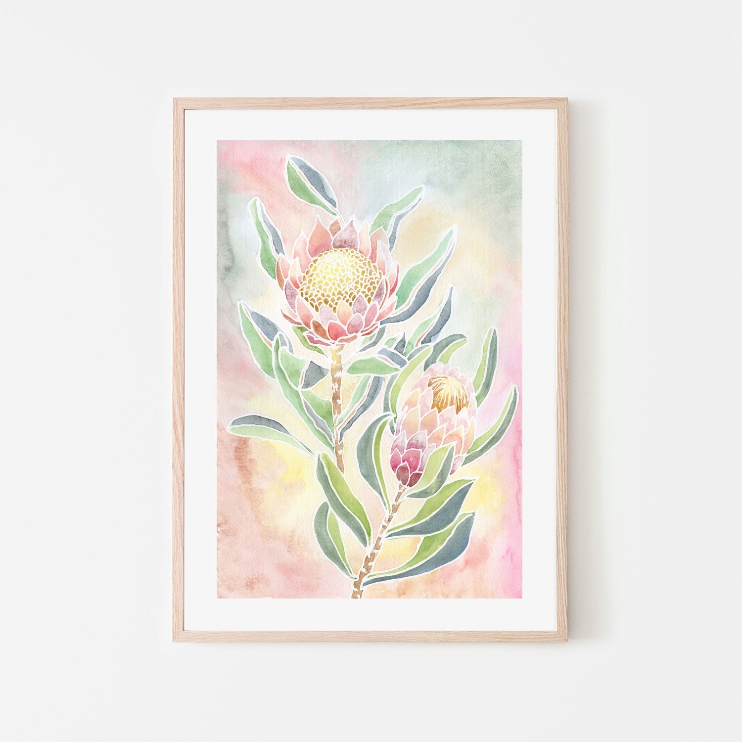 wall-art-print-canvas-poster-framed-Pastel Proteas , By Jessie Mitchelson-GIOIA-WALL-ART