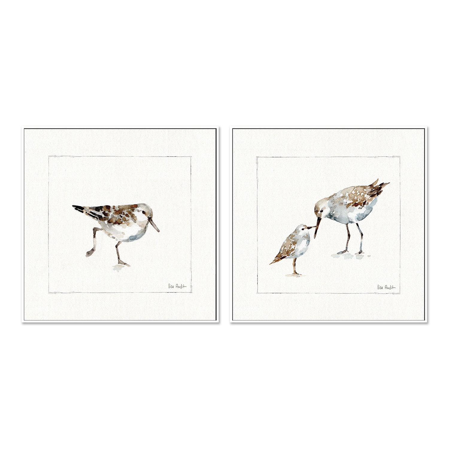 wall-art-print-canvas-poster-framed-Pebbles And Sandpipers, Style A & B, Set Of 2 , By Lisa Audit-GIOIA-WALL-ART