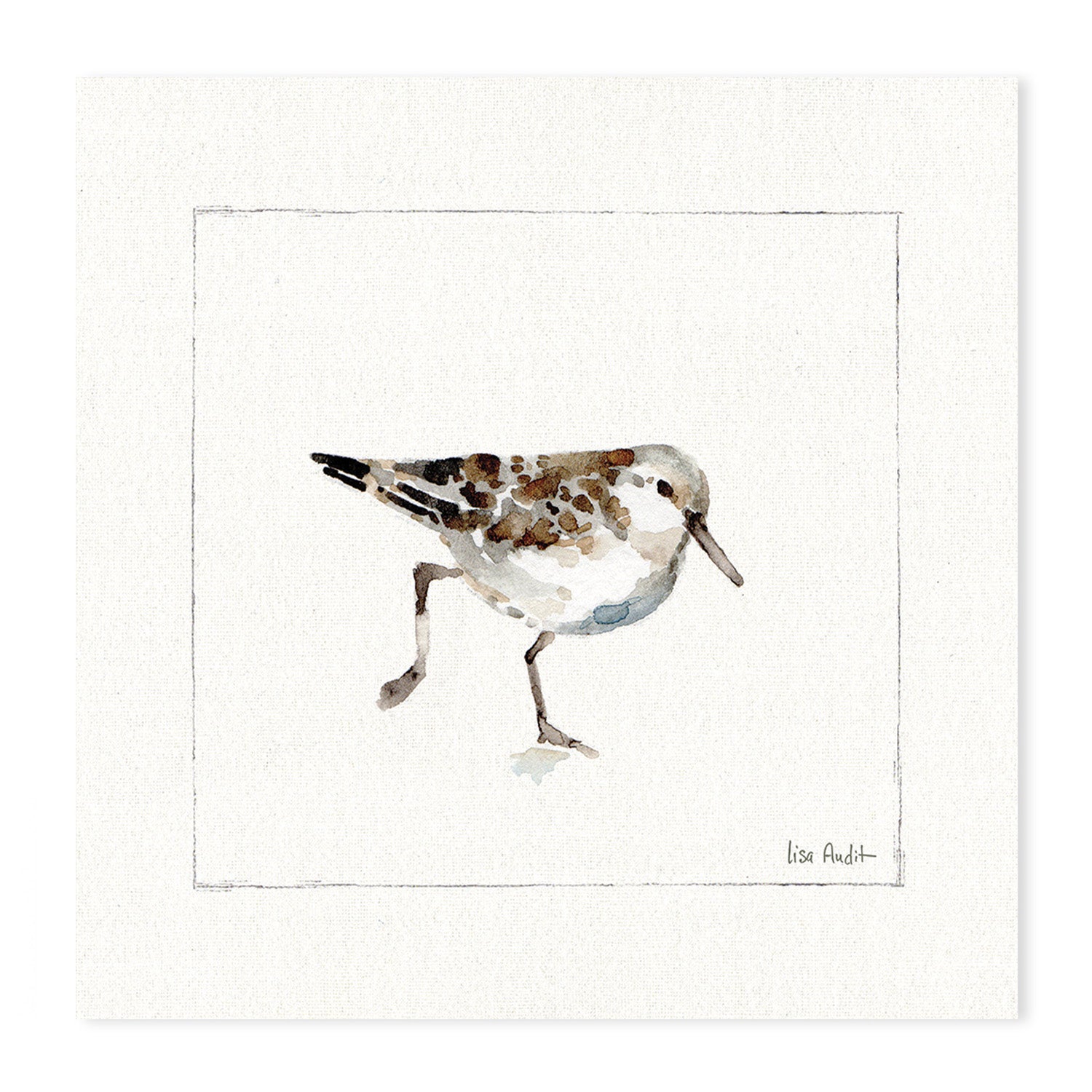 wall-art-print-canvas-poster-framed-Pebbles And Sandpipers, Style A & B, Set Of 2 , By Lisa Audit-GIOIA-WALL-ART