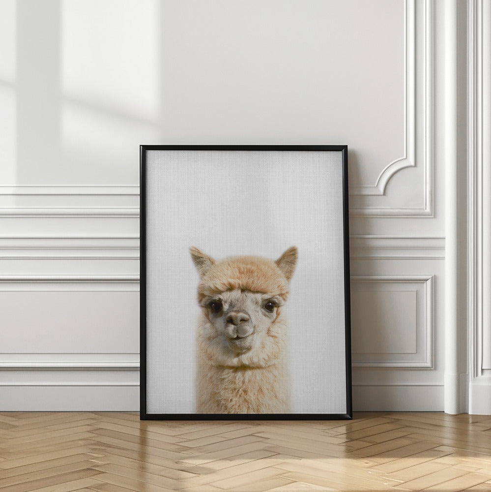 wall-art-print-canvas-poster-framed-Peekaboo Alpaca , By Lola Peacock-2