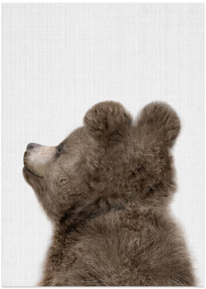 wall-art-print-canvas-poster-framed-Peekaboo Baby Bear Back , By Lola Peacock-1