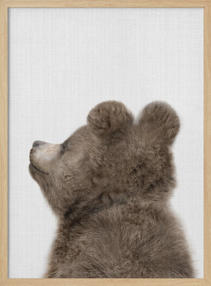 wall-art-print-canvas-poster-framed-Peekaboo Baby Bear Back , By Lola Peacock-4