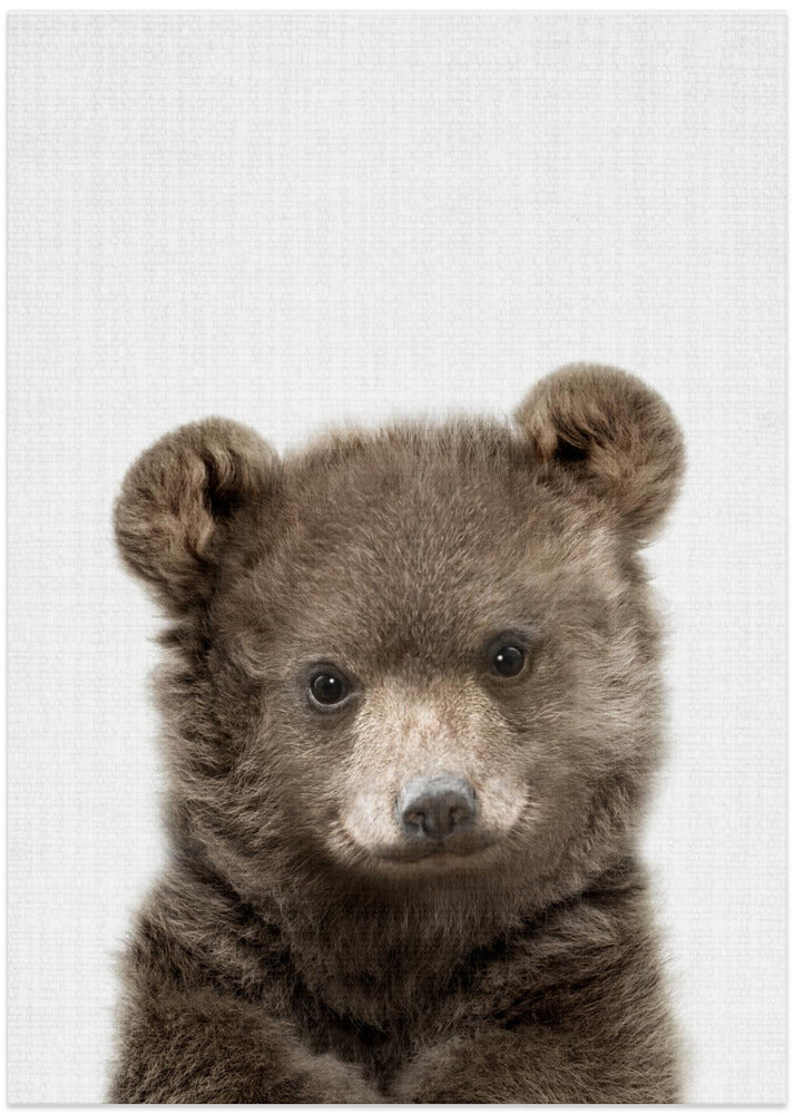 wall-art-print-canvas-poster-framed-Peekaboo Baby Bear , By Lola Peacock-1