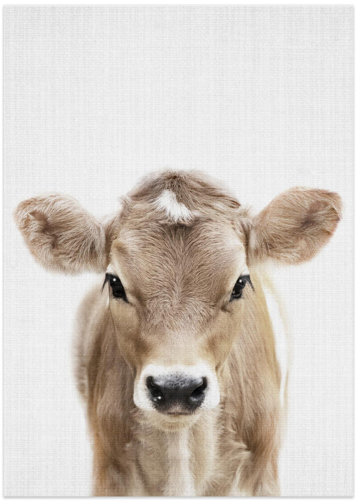 wall-art-print-canvas-poster-framed-Peekaboo Baby Cow , By Lola Peacock-1