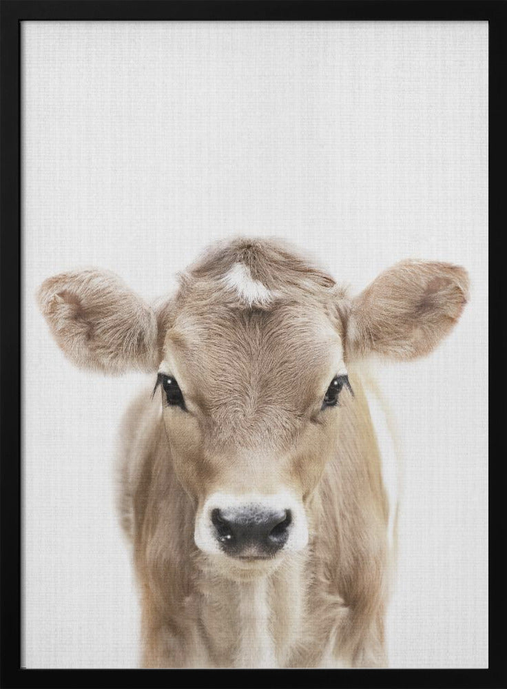 wall-art-print-canvas-poster-framed-Peekaboo Baby Cow , By Lola Peacock-3