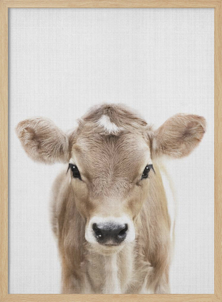 wall-art-print-canvas-poster-framed-Peekaboo Baby Cow , By Lola Peacock-4