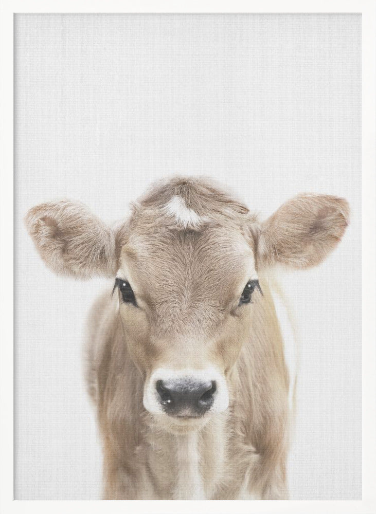 wall-art-print-canvas-poster-framed-Peekaboo Baby Cow , By Lola Peacock-5