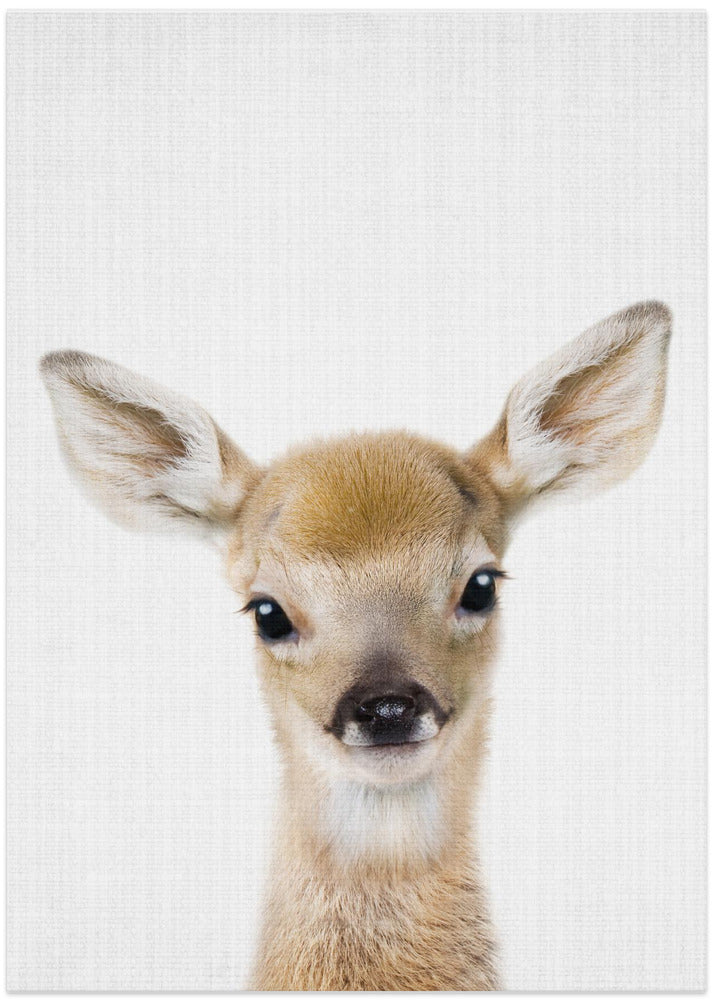 wall-art-print-canvas-poster-framed-Peekaboo Baby Deer , By Lola Peacock-1