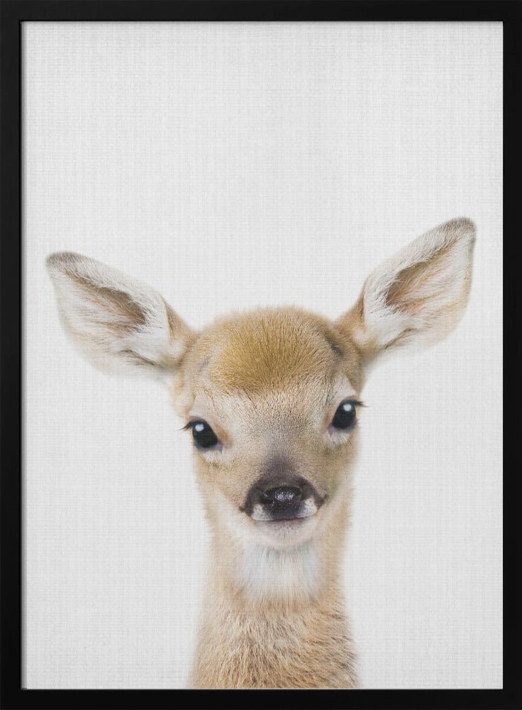 wall-art-print-canvas-poster-framed-Peekaboo Baby Deer , By Lola Peacock-3