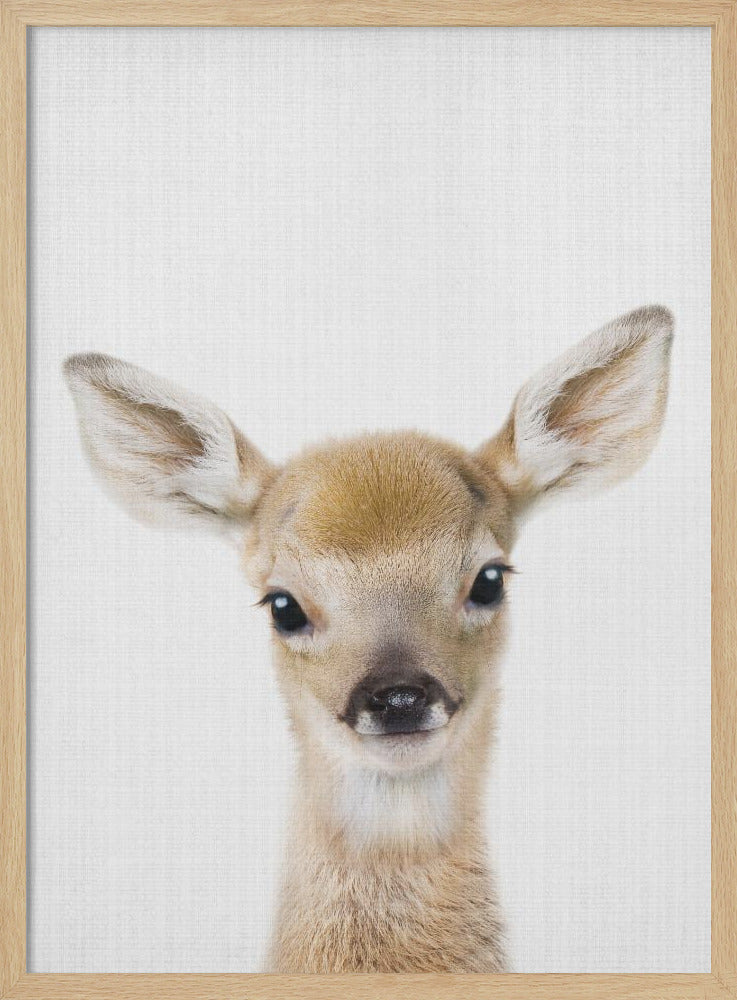 wall-art-print-canvas-poster-framed-Peekaboo Baby Deer , By Lola Peacock-4