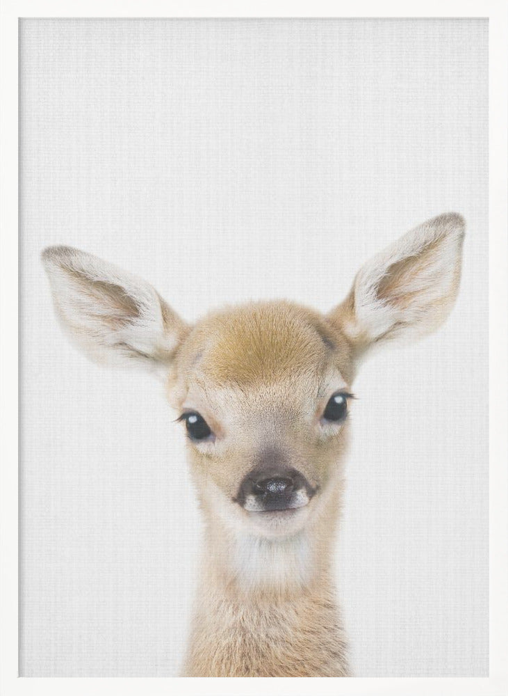 wall-art-print-canvas-poster-framed-Peekaboo Baby Deer , By Lola Peacock-5