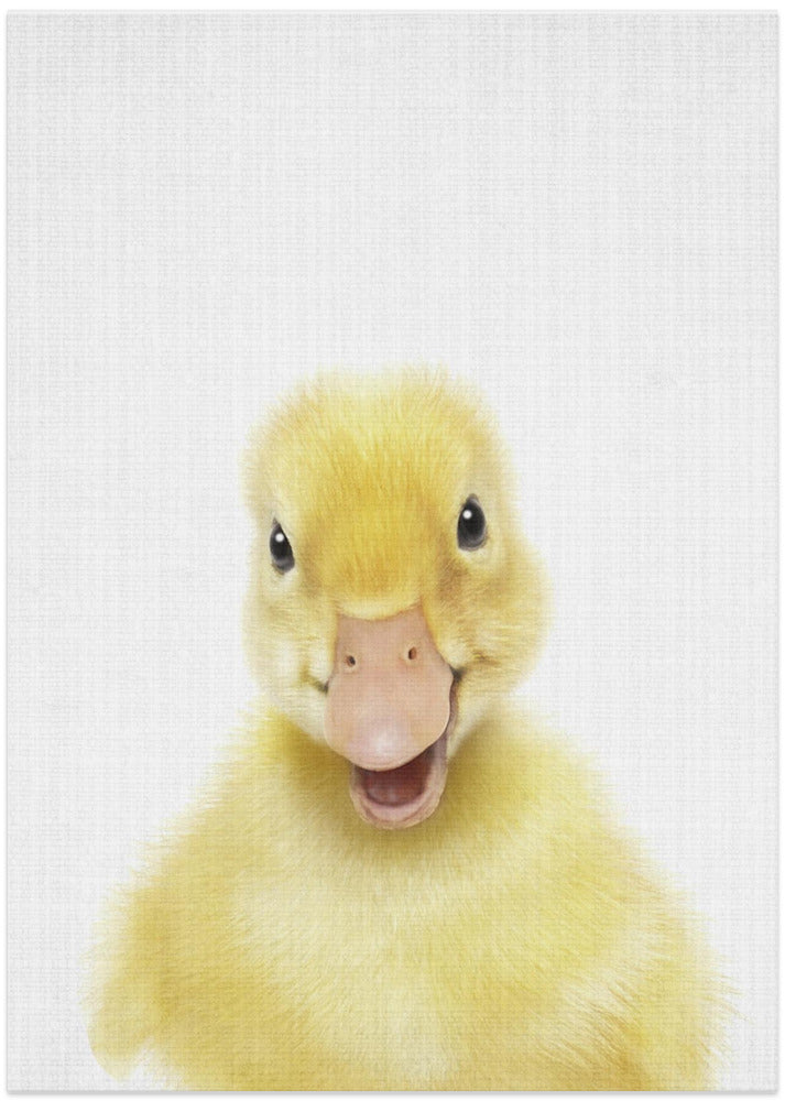 wall-art-print-canvas-poster-framed-Peekaboo Baby Duck , By Lola Peacock-1