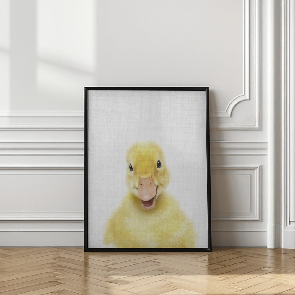 wall-art-print-canvas-poster-framed-Peekaboo Baby Duck , By Lola Peacock-2