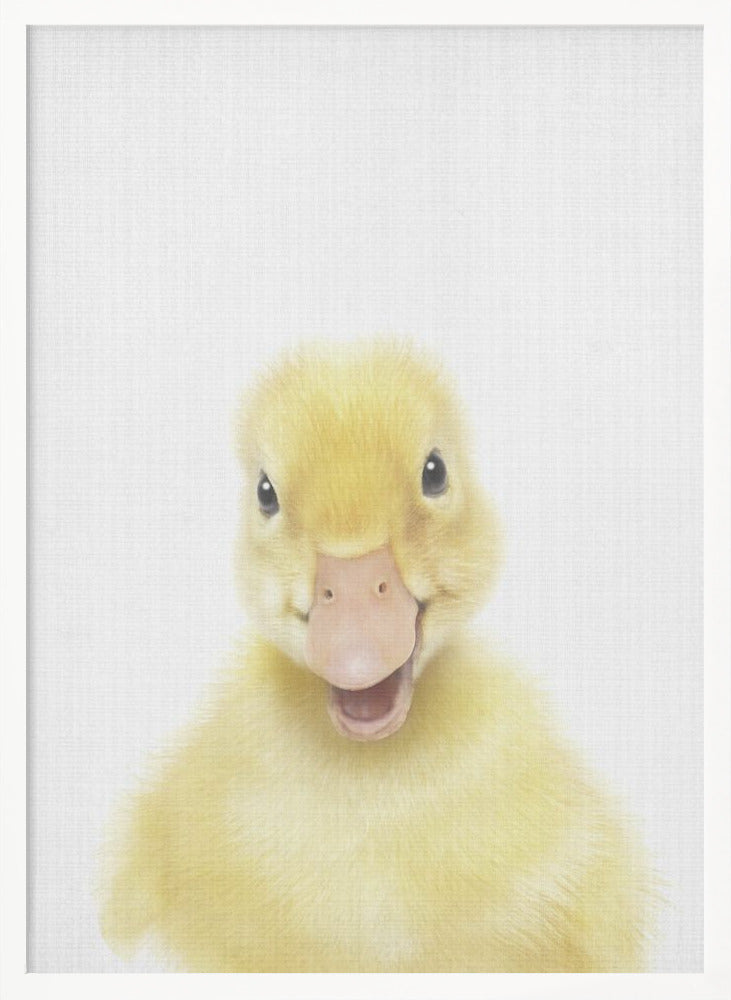 wall-art-print-canvas-poster-framed-Peekaboo Baby Duck , By Lola Peacock-5