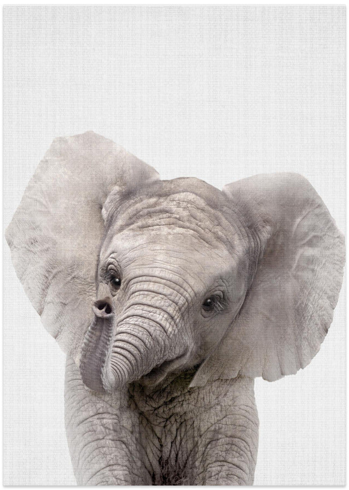 wall-art-print-canvas-poster-framed-Peekaboo Baby Elephant , By Lola Peacock-1