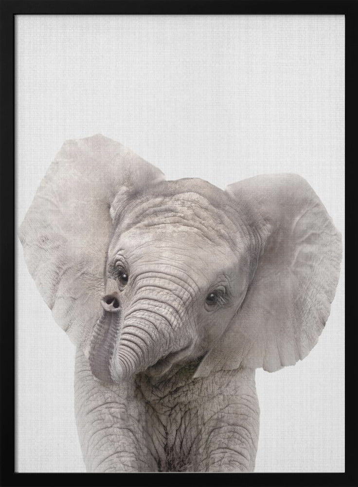 wall-art-print-canvas-poster-framed-Peekaboo Baby Elephant , By Lola Peacock-3