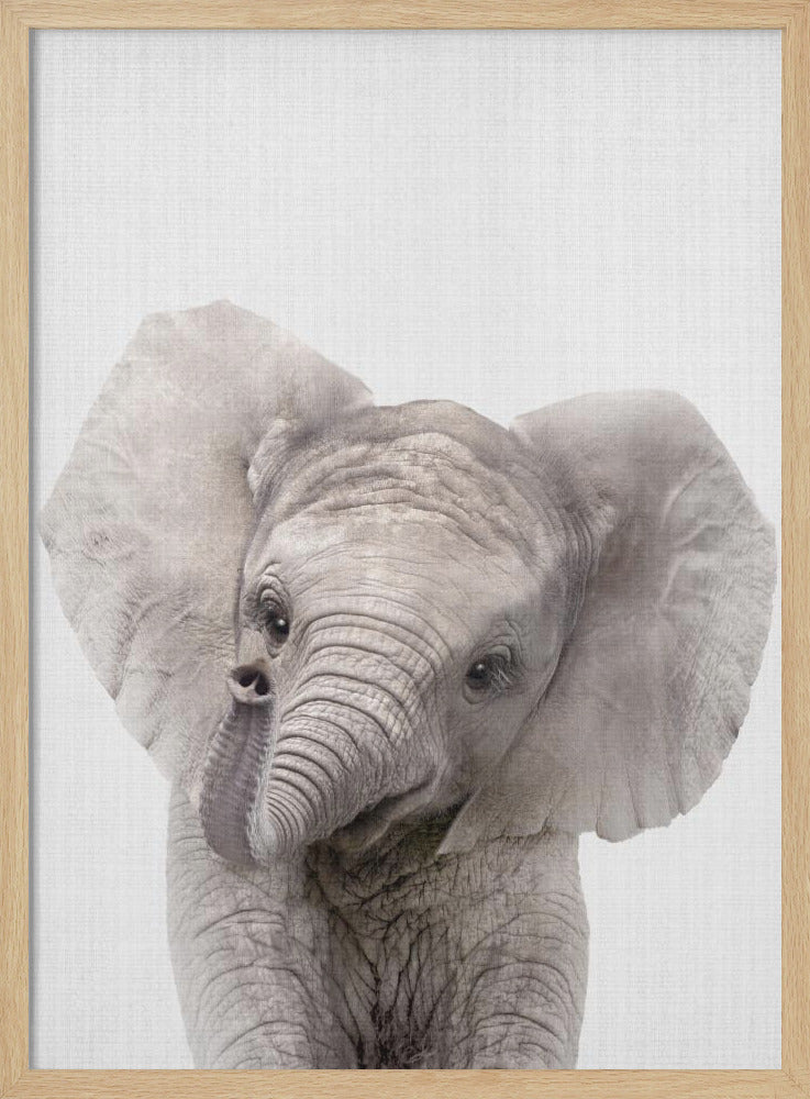 wall-art-print-canvas-poster-framed-Peekaboo Baby Elephant , By Lola Peacock-4