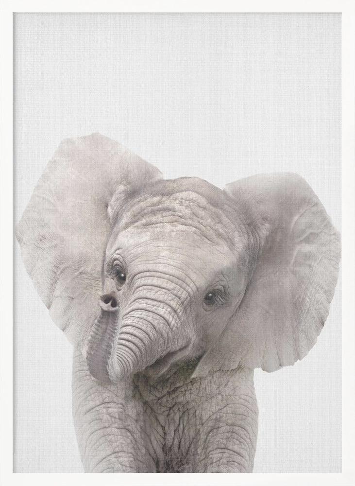 wall-art-print-canvas-poster-framed-Peekaboo Baby Elephant , By Lola Peacock-5