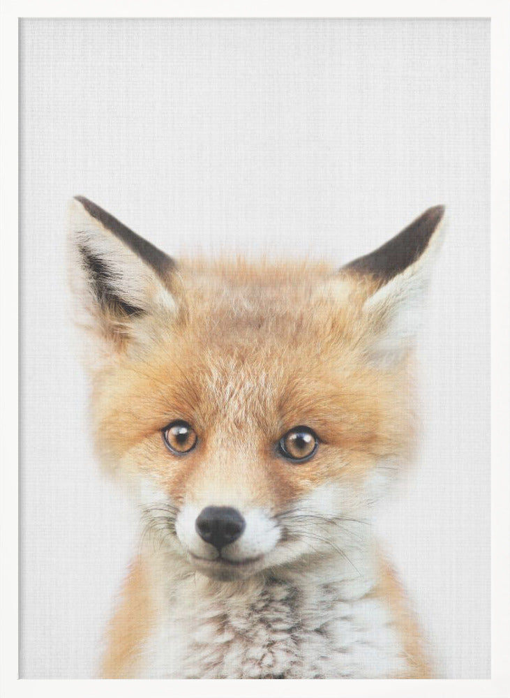 wall-art-print-canvas-poster-framed-Peekaboo Baby Fox , By Lola Peacock-5