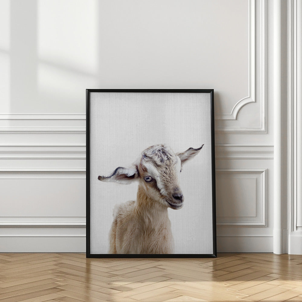 wall-art-print-canvas-poster-framed-Peekaboo Baby Goat , By Lola Peacock-2