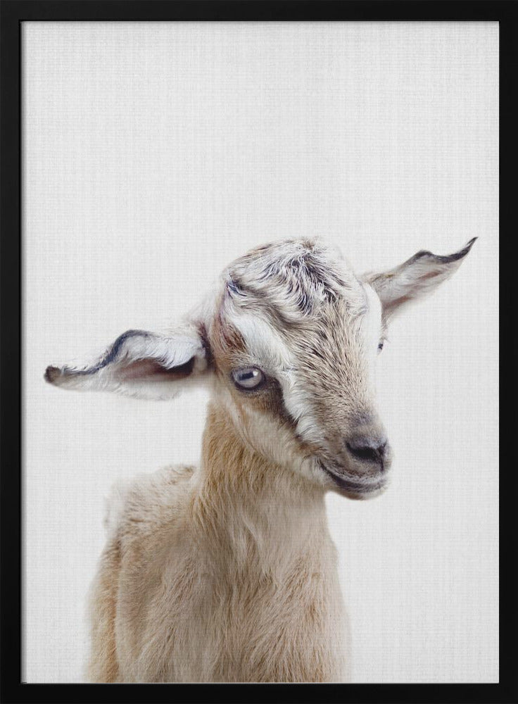 wall-art-print-canvas-poster-framed-Peekaboo Baby Goat , By Lola Peacock-3