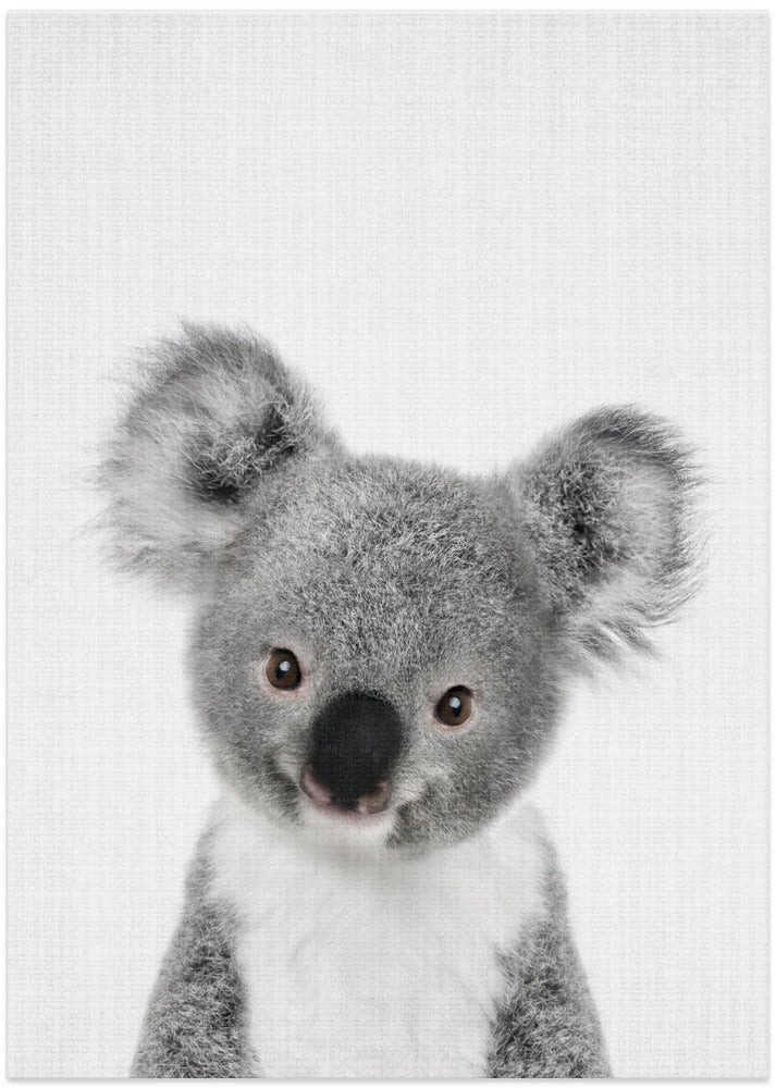 wall-art-print-canvas-poster-framed-Peekaboo Baby Koala , By Lola Peacock-1