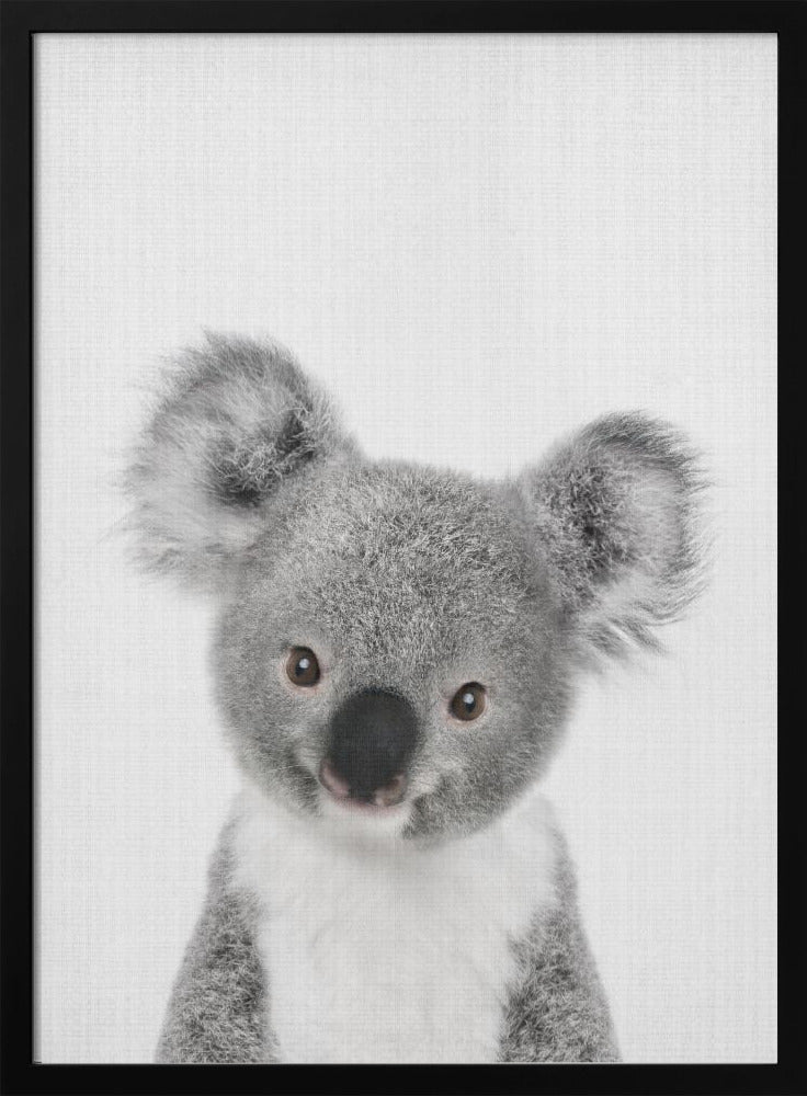 wall-art-print-canvas-poster-framed-Peekaboo Baby Koala , By Lola Peacock-3