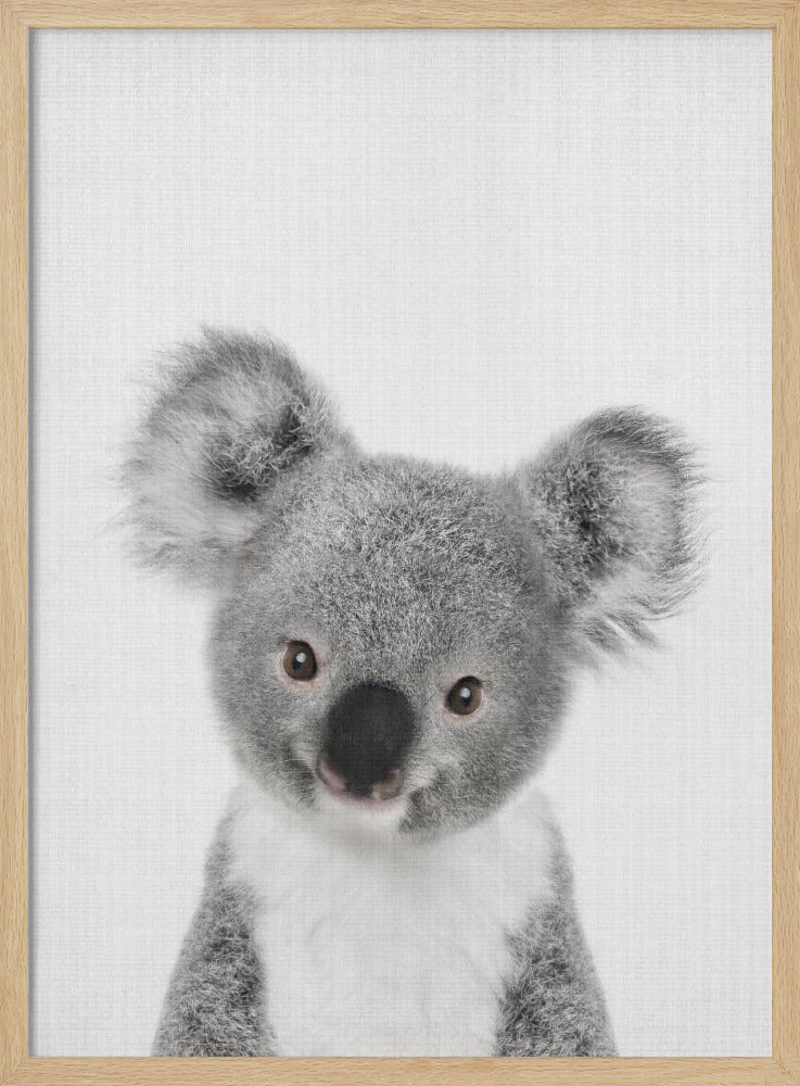 wall-art-print-canvas-poster-framed-Peekaboo Baby Koala , By Lola Peacock-4