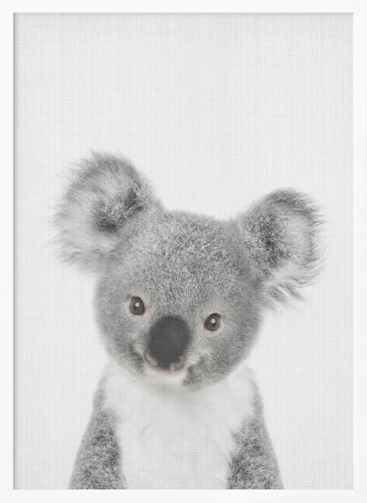 wall-art-print-canvas-poster-framed-Peekaboo Baby Koala , By Lola Peacock-5