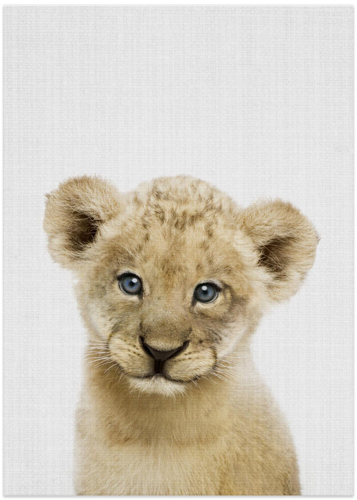 wall-art-print-canvas-poster-framed-Peekaboo Baby Lion , By Lola Peacock-1