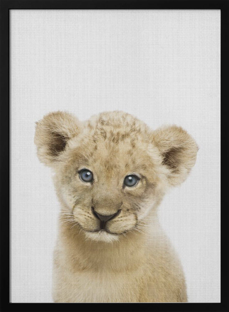 wall-art-print-canvas-poster-framed-Peekaboo Baby Lion , By Lola Peacock-3