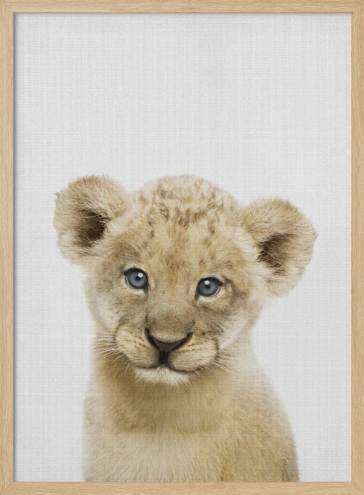 wall-art-print-canvas-poster-framed-Peekaboo Baby Lion , By Lola Peacock-4