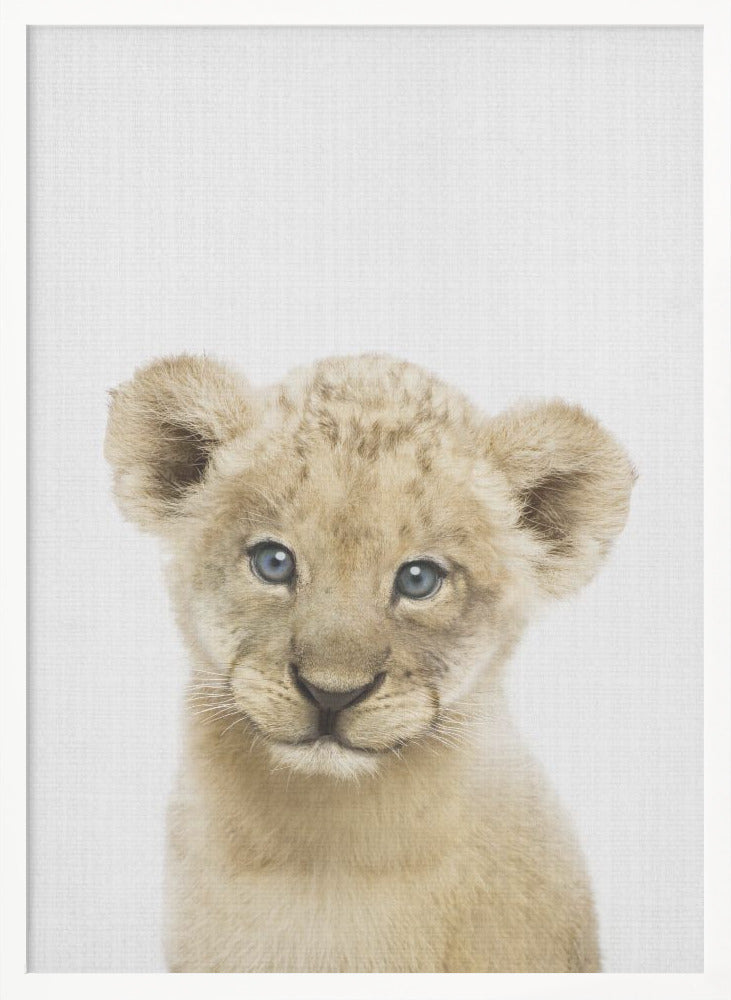 wall-art-print-canvas-poster-framed-Peekaboo Baby Lion , By Lola Peacock-5