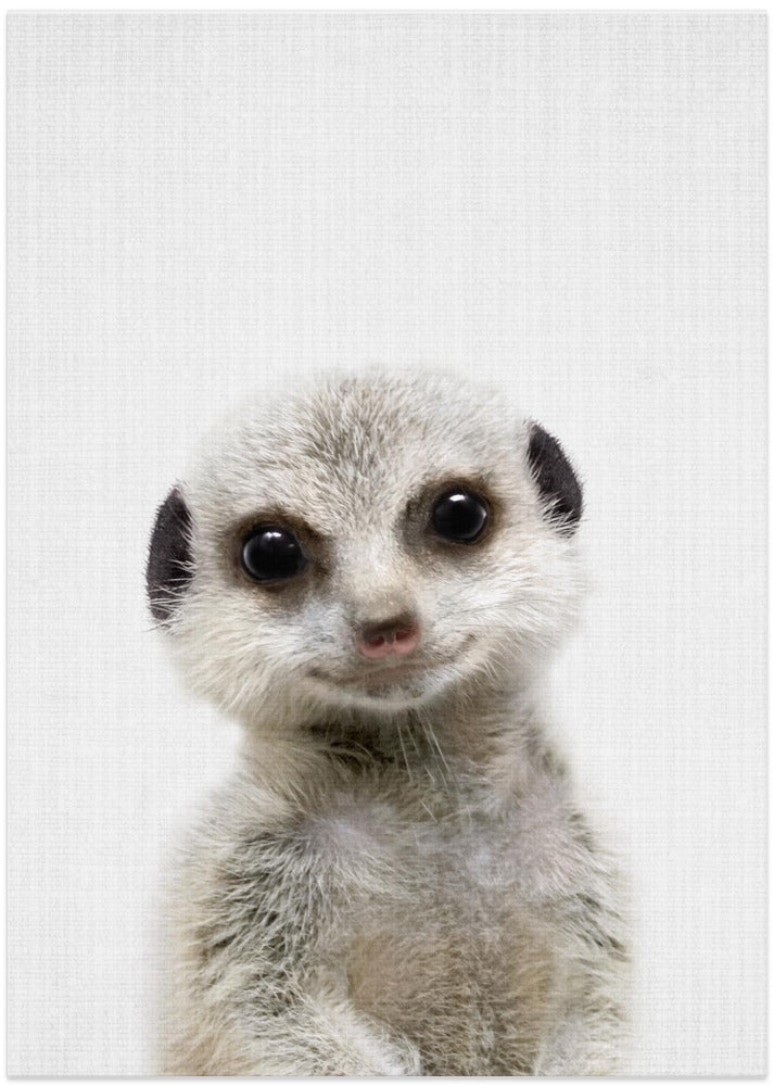 wall-art-print-canvas-poster-framed-Peekaboo Baby Meerkat , By Lola Peacock-1