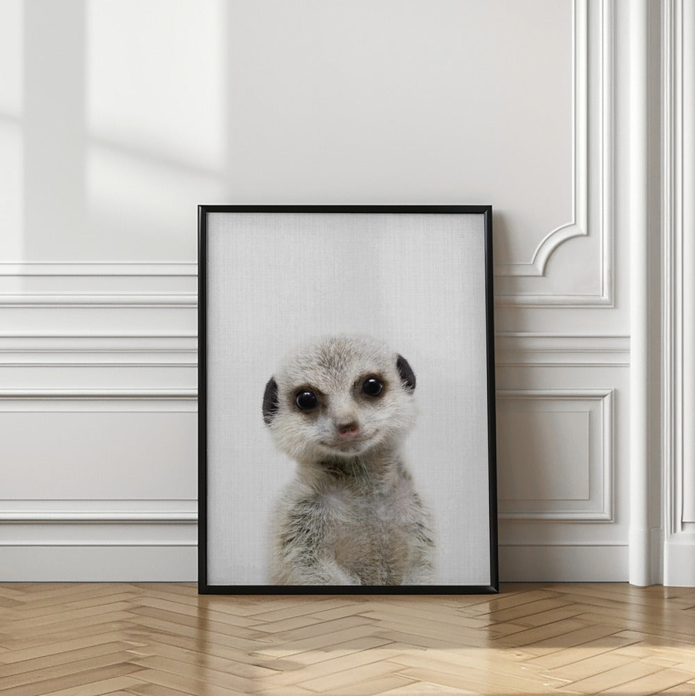 wall-art-print-canvas-poster-framed-Peekaboo Baby Meerkat , By Lola Peacock-2