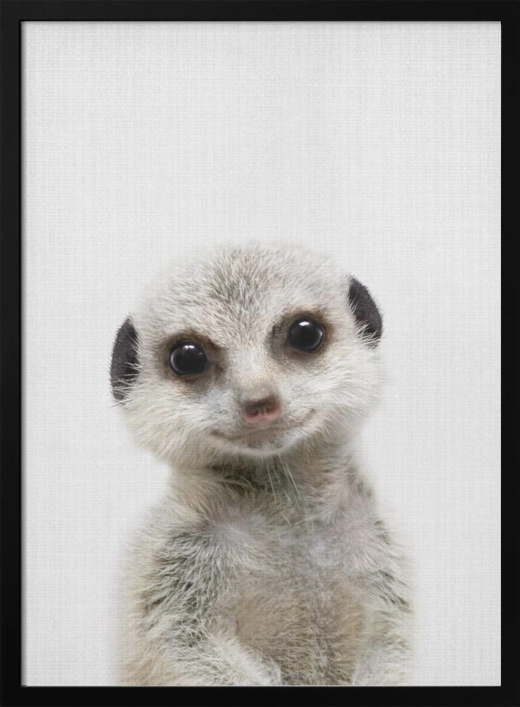 wall-art-print-canvas-poster-framed-Peekaboo Baby Meerkat , By Lola Peacock-3