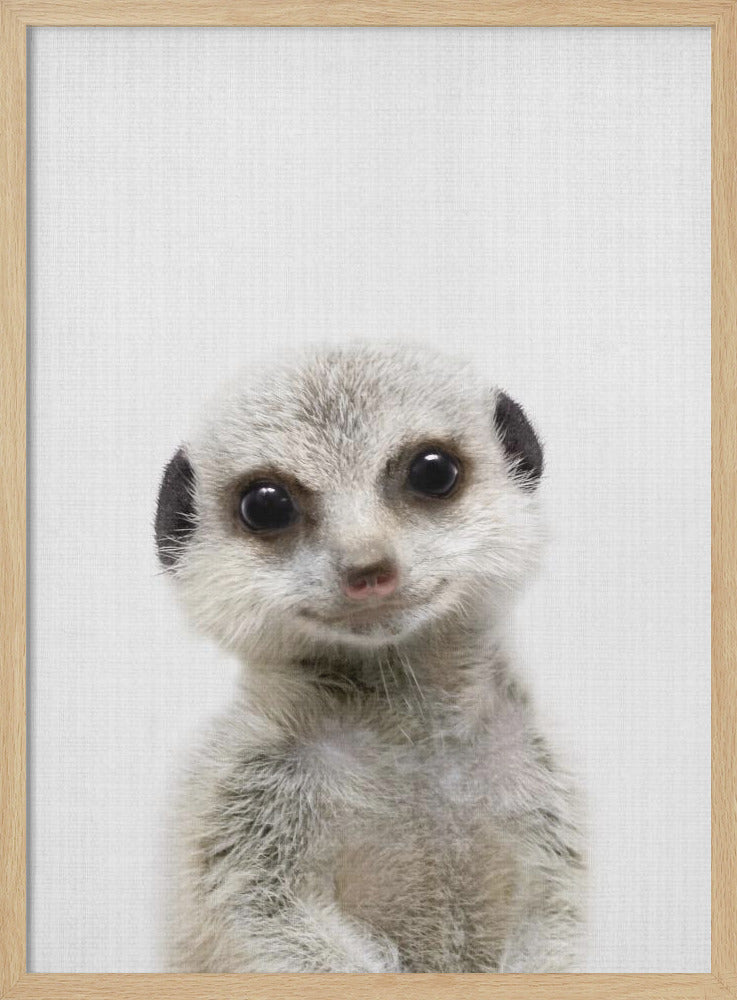 wall-art-print-canvas-poster-framed-Peekaboo Baby Meerkat , By Lola Peacock-4