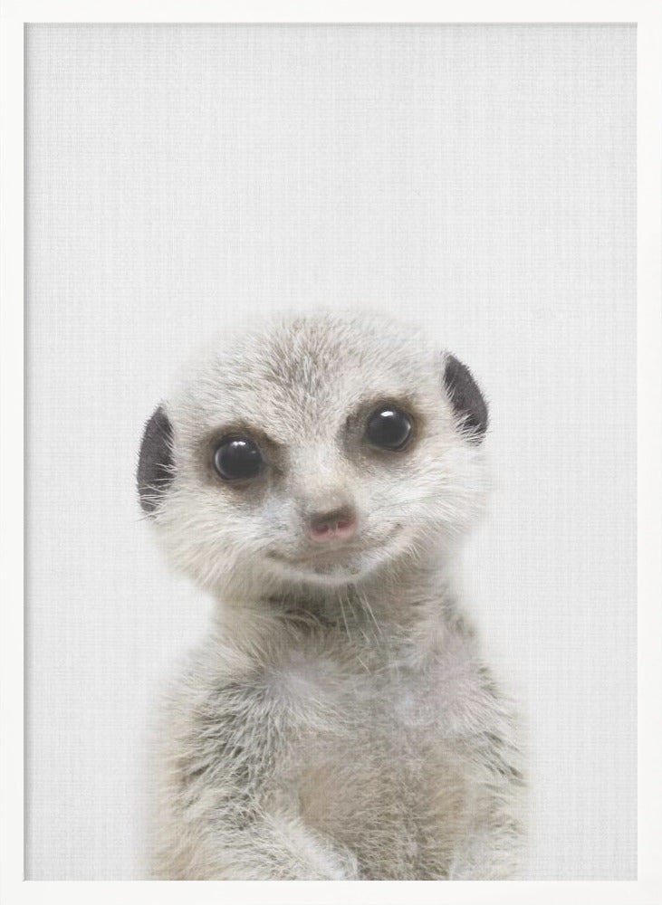 wall-art-print-canvas-poster-framed-Peekaboo Baby Meerkat , By Lola Peacock-5