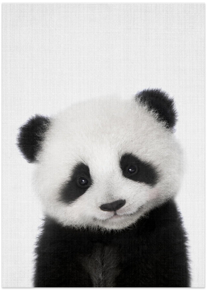 wall-art-print-canvas-poster-framed-Peekaboo Baby Panda , By Lola Peacock-1