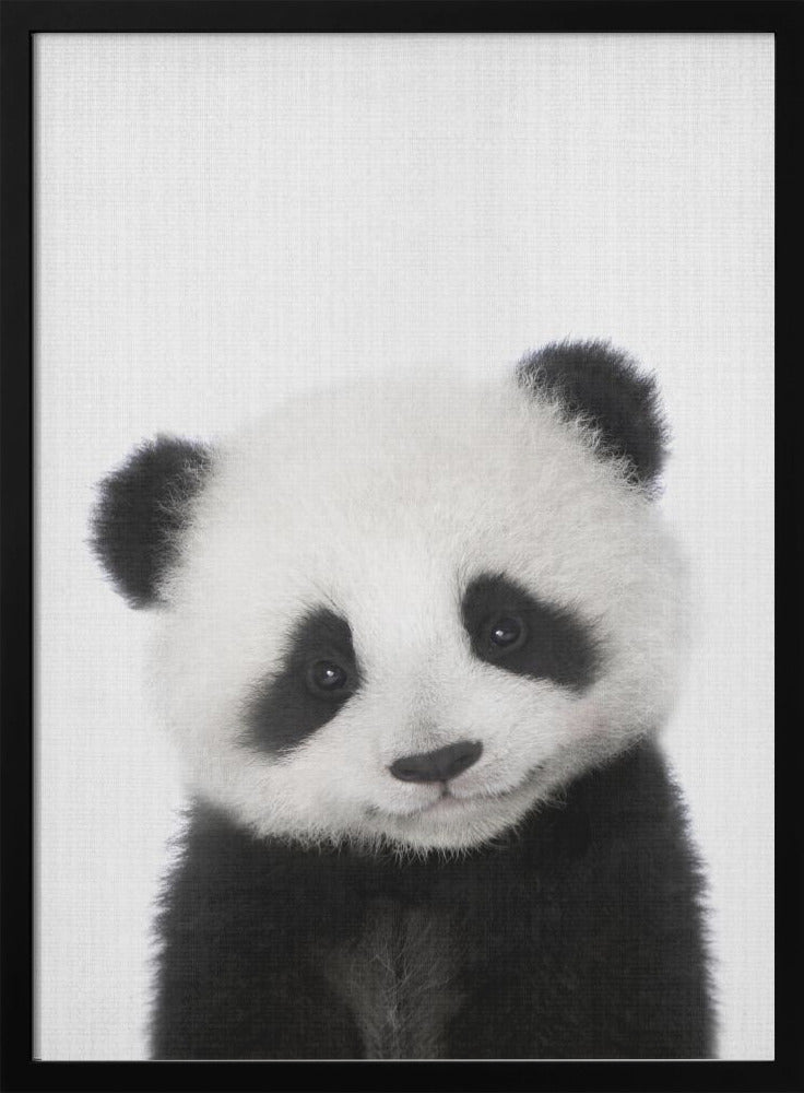 wall-art-print-canvas-poster-framed-Peekaboo Baby Panda , By Lola Peacock-3