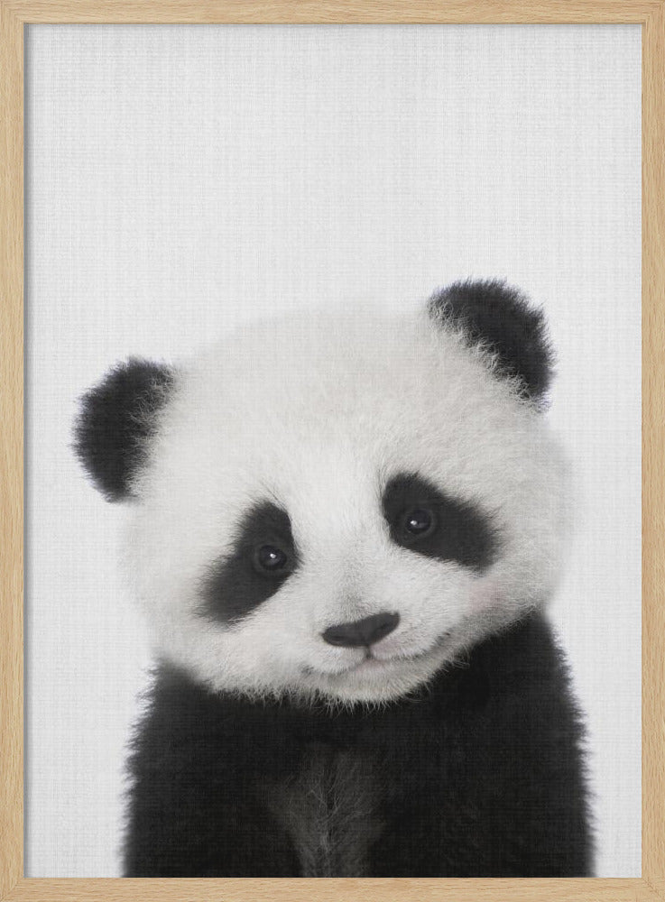 wall-art-print-canvas-poster-framed-Peekaboo Baby Panda , By Lola Peacock-4