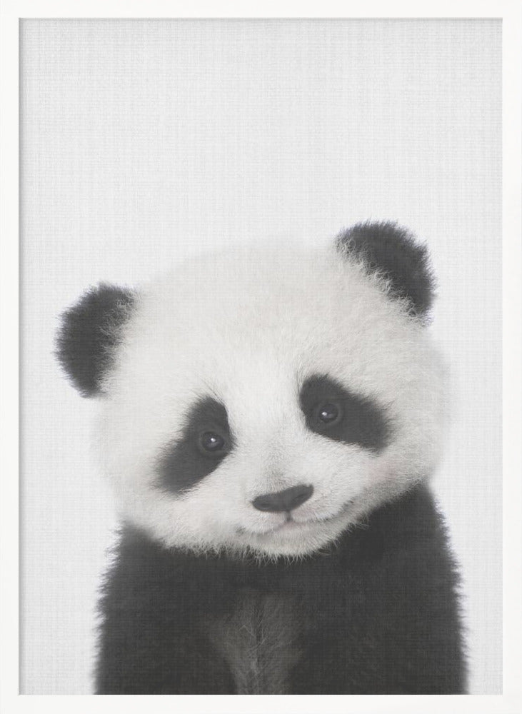 wall-art-print-canvas-poster-framed-Peekaboo Baby Panda , By Lola Peacock-5