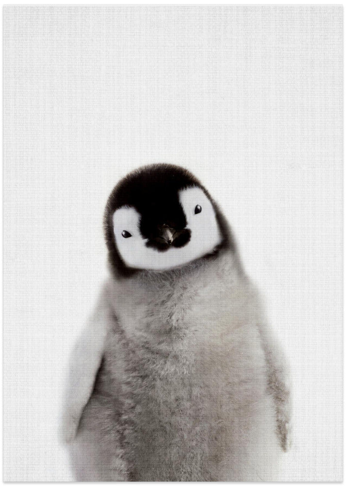 wall-art-print-canvas-poster-framed-Peekaboo Baby Penguin , By Lola Peacock-1