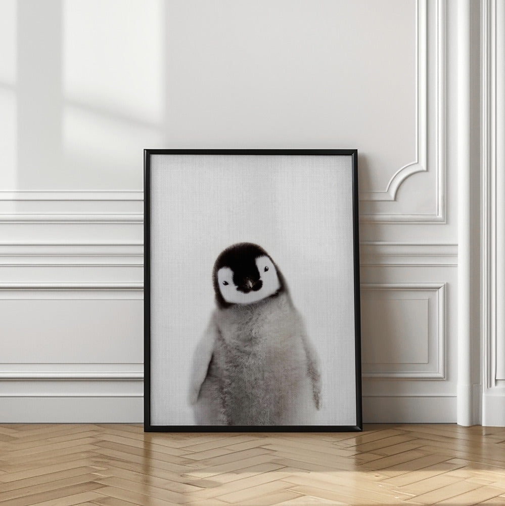 wall-art-print-canvas-poster-framed-Peekaboo Baby Penguin , By Lola Peacock-2