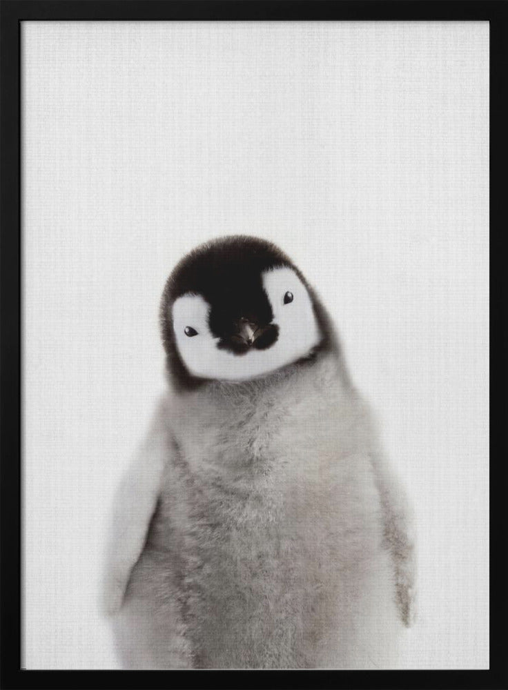 wall-art-print-canvas-poster-framed-Peekaboo Baby Penguin , By Lola Peacock-3