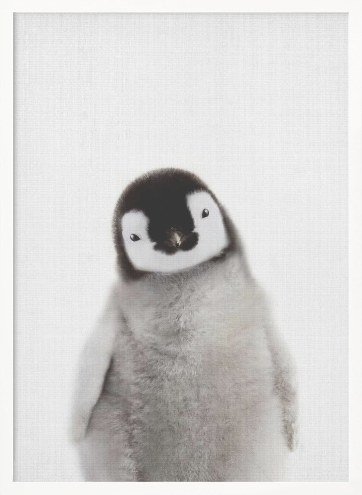 wall-art-print-canvas-poster-framed-Peekaboo Baby Penguin , By Lola Peacock-5