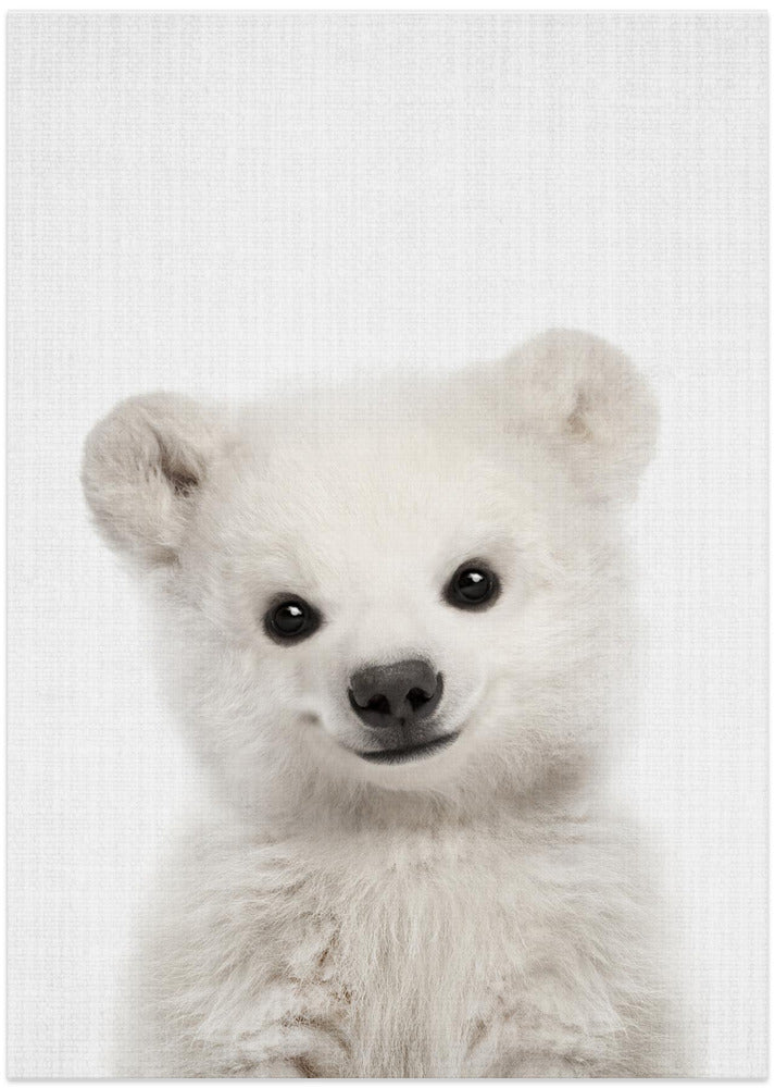 wall-art-print-canvas-poster-framed-Peekaboo Baby Polar Bear , By Lola Peacock-1