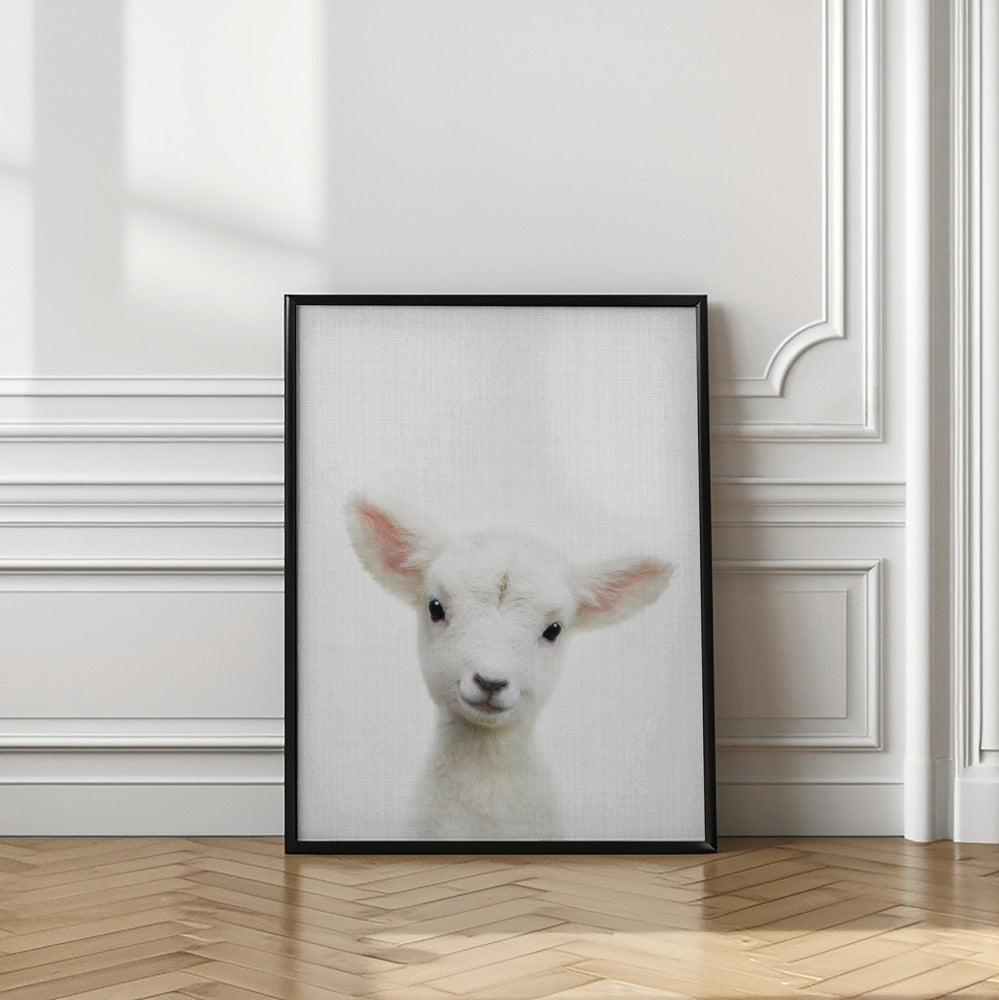 wall-art-print-canvas-poster-framed-Peekaboo Baby Sheep , By Lola Peacock-2